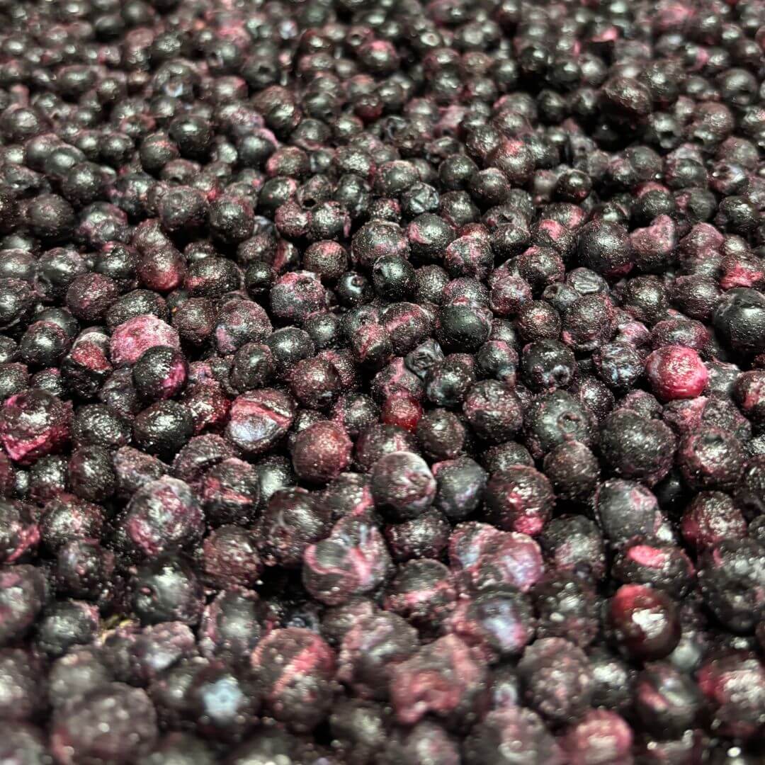 Freeze Dried Blueberry close-up, showcasing the natural texture and color of freeze-dried blueberries for pet treats.
