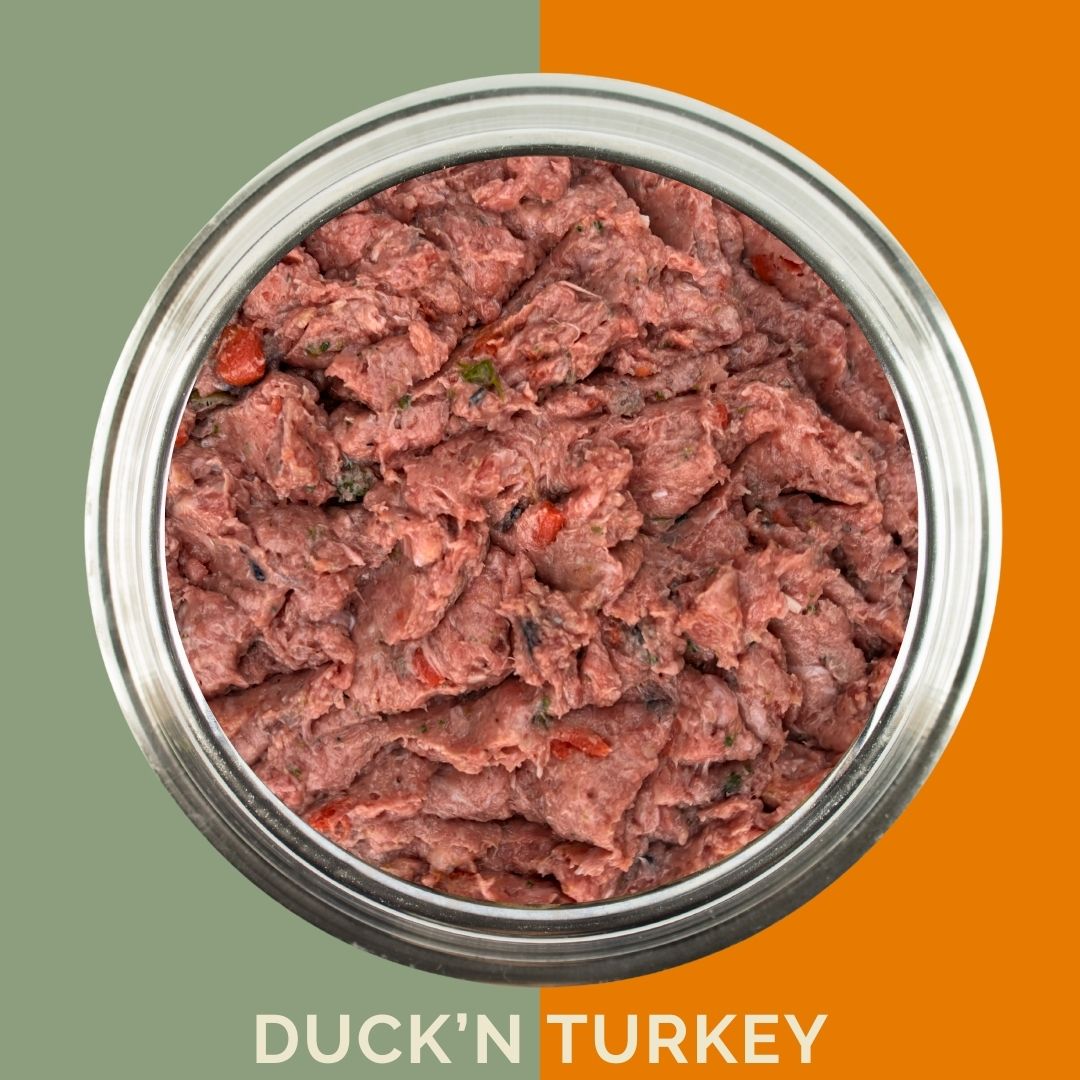 Bowl of duck and turkey raw dog food with a green and orange background