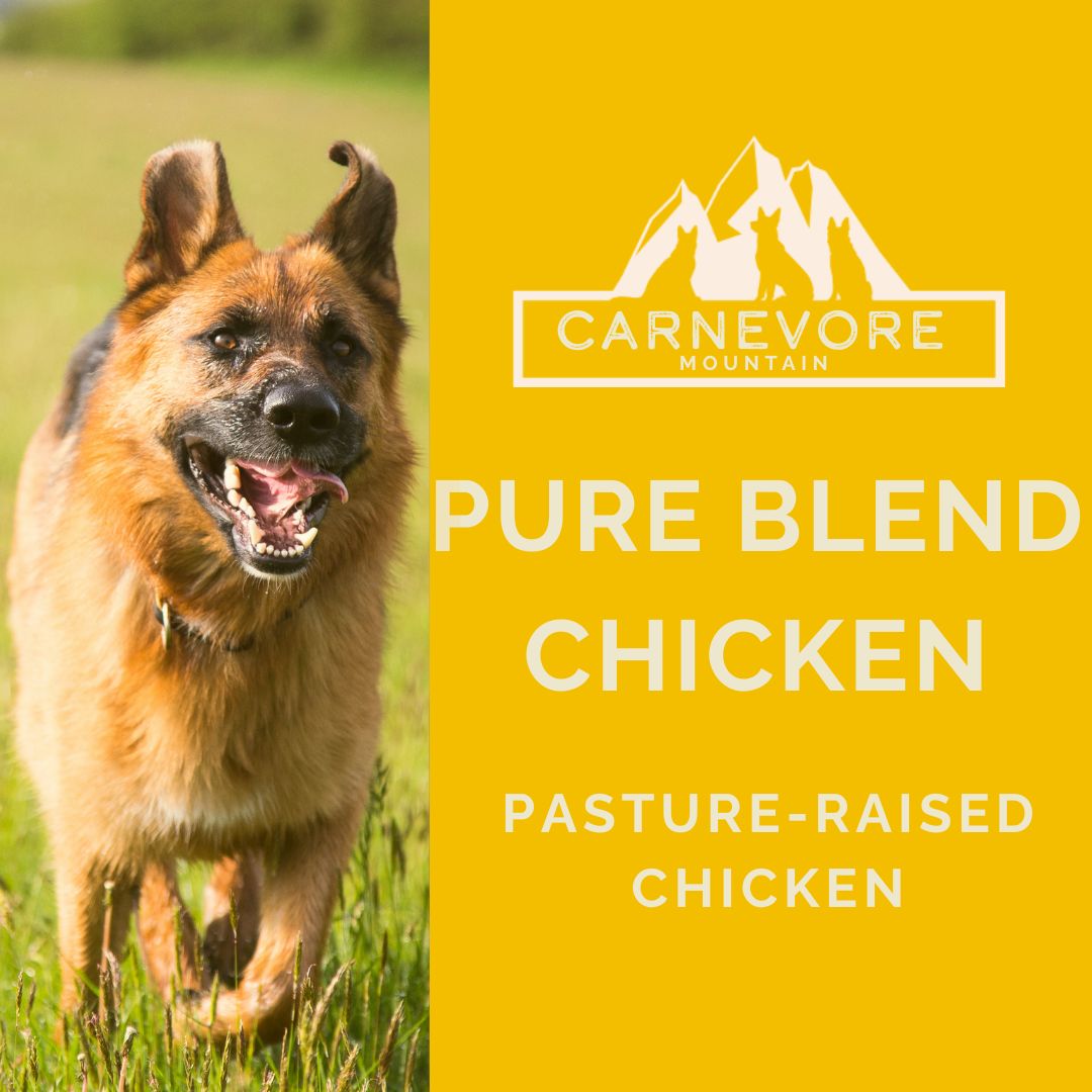 Dog running in a field with Carnevore Mountain branding on a yellow background