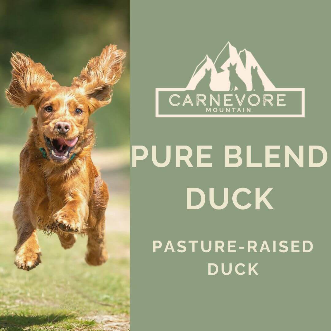 Duck raw dog food - Pure Blend Duck with a happy dog running in a green outdoor setting.