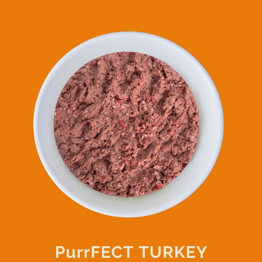 Raw turkey cat food in a bowl, showcasing the Purrfect Turkey recipe for healthy feline nutrition.