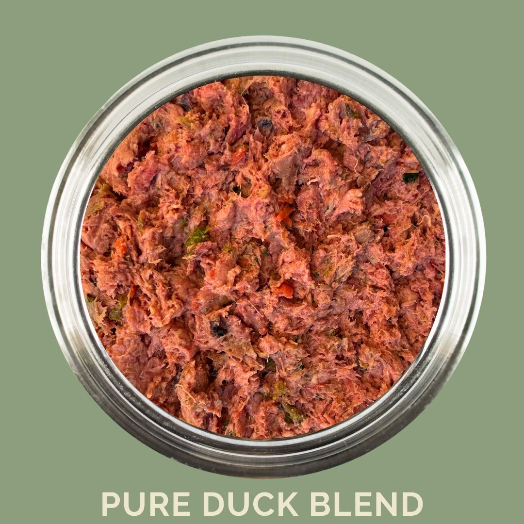 Dog food in a dog bowl of pure duck blend from Carnevore Mountain on a green background