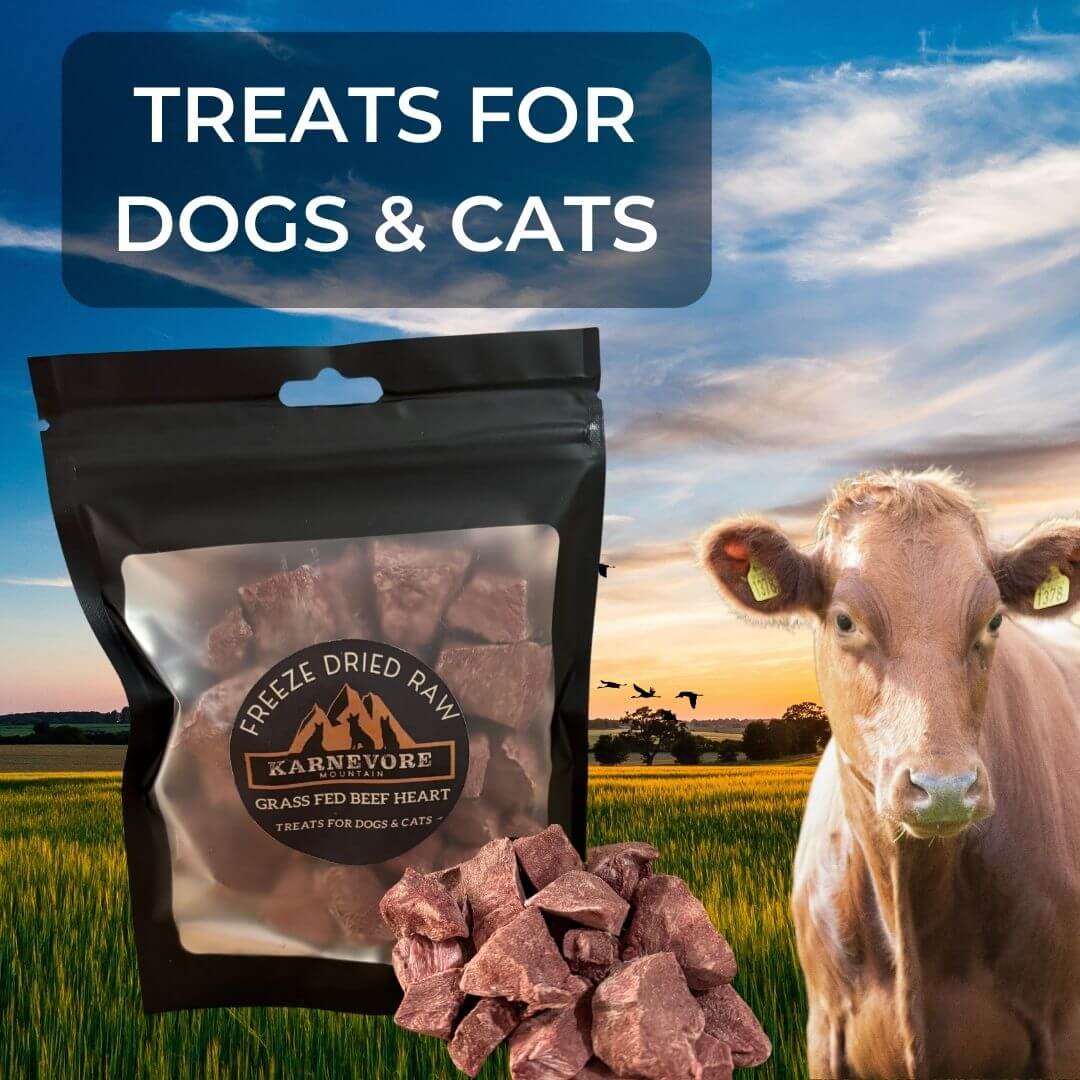 Carnevore Mountain freeze-dried beef heart treats for dogs and cats, made from grass-fed, human-grade beef.