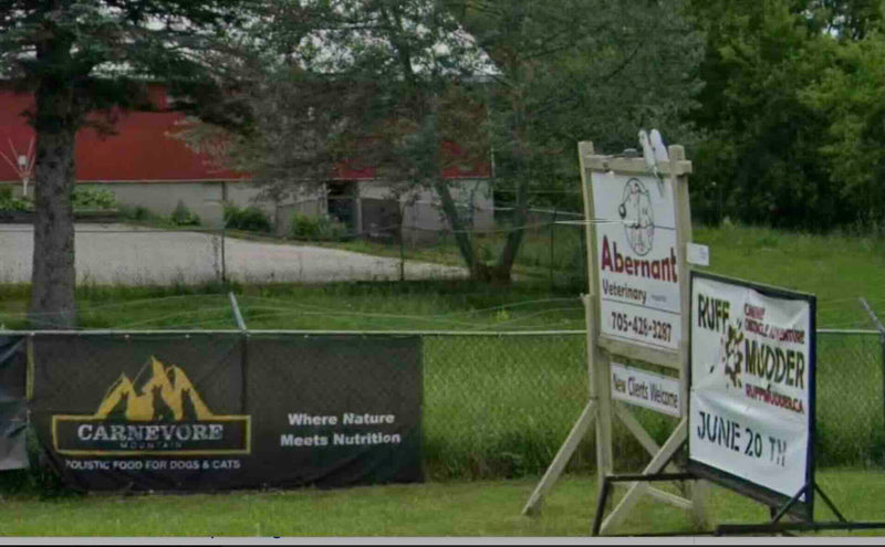 Abernant Veterinary Hospital's roadside sign in Stayner, with a Carnevore Mountain banner on the fence beside it