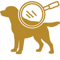 Supports Skin & Coat Health