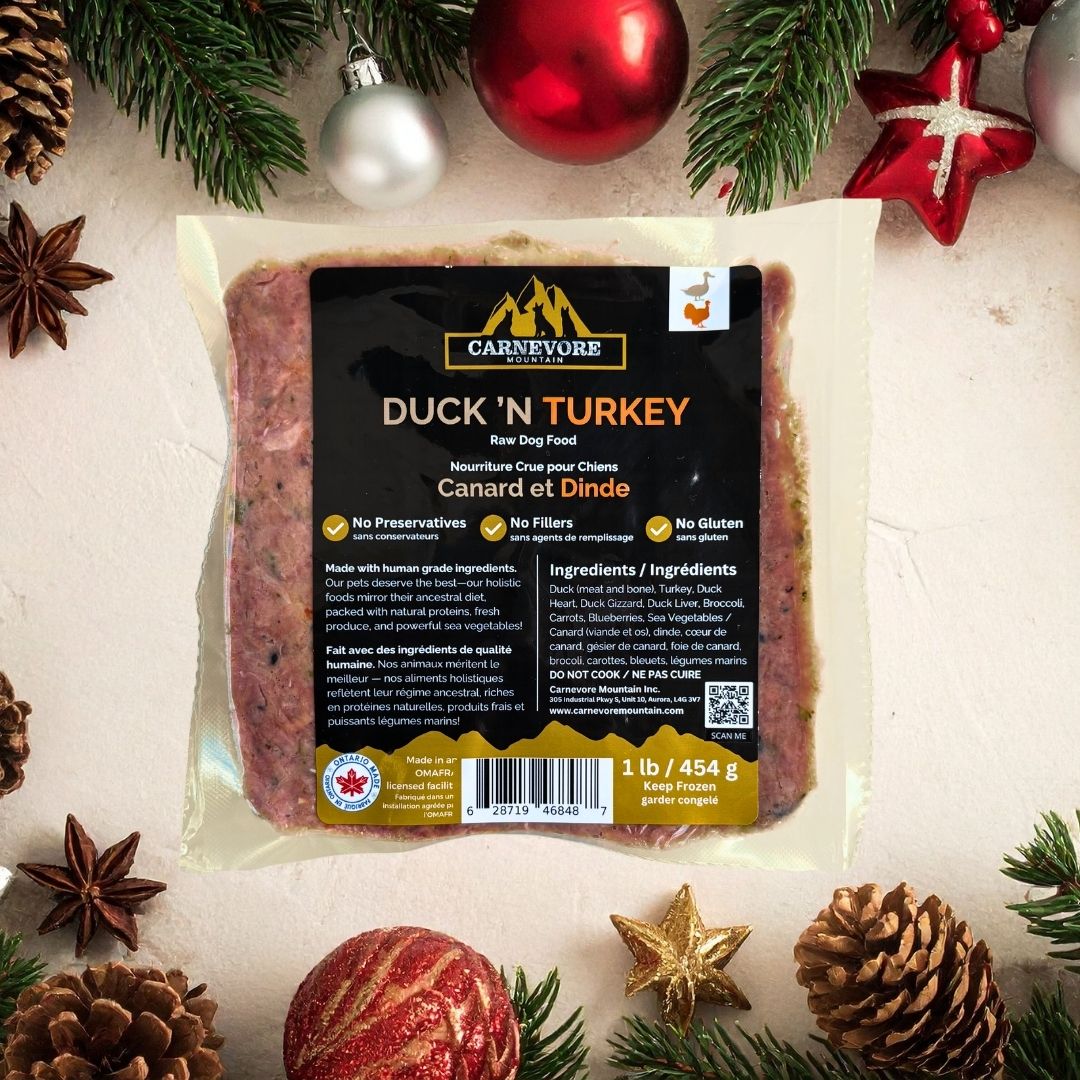 Packaged raw duck and turkey dog food with Carnevore label on a festive background with Christmas decorations.