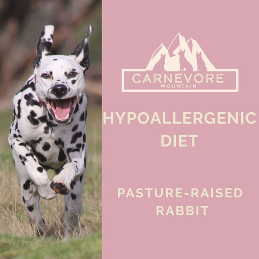 Image of a Dalmatian dog running towards the camera with his ears up and open month.  The product name Hypoallergenic Diet, with an off pink background.  The photo includes the Carnevore Mountain Logo.