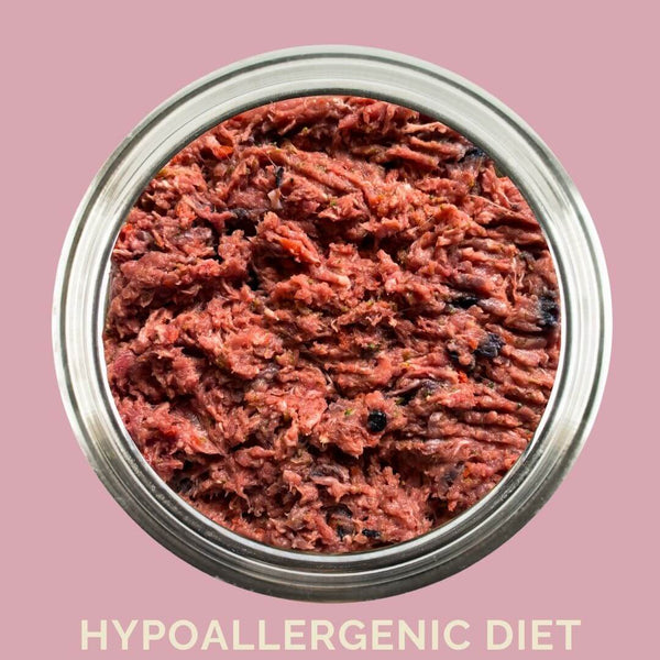 Dog food in a bowl of hypoallergenic raw dog food from Carnevore Mountain with a pink background.