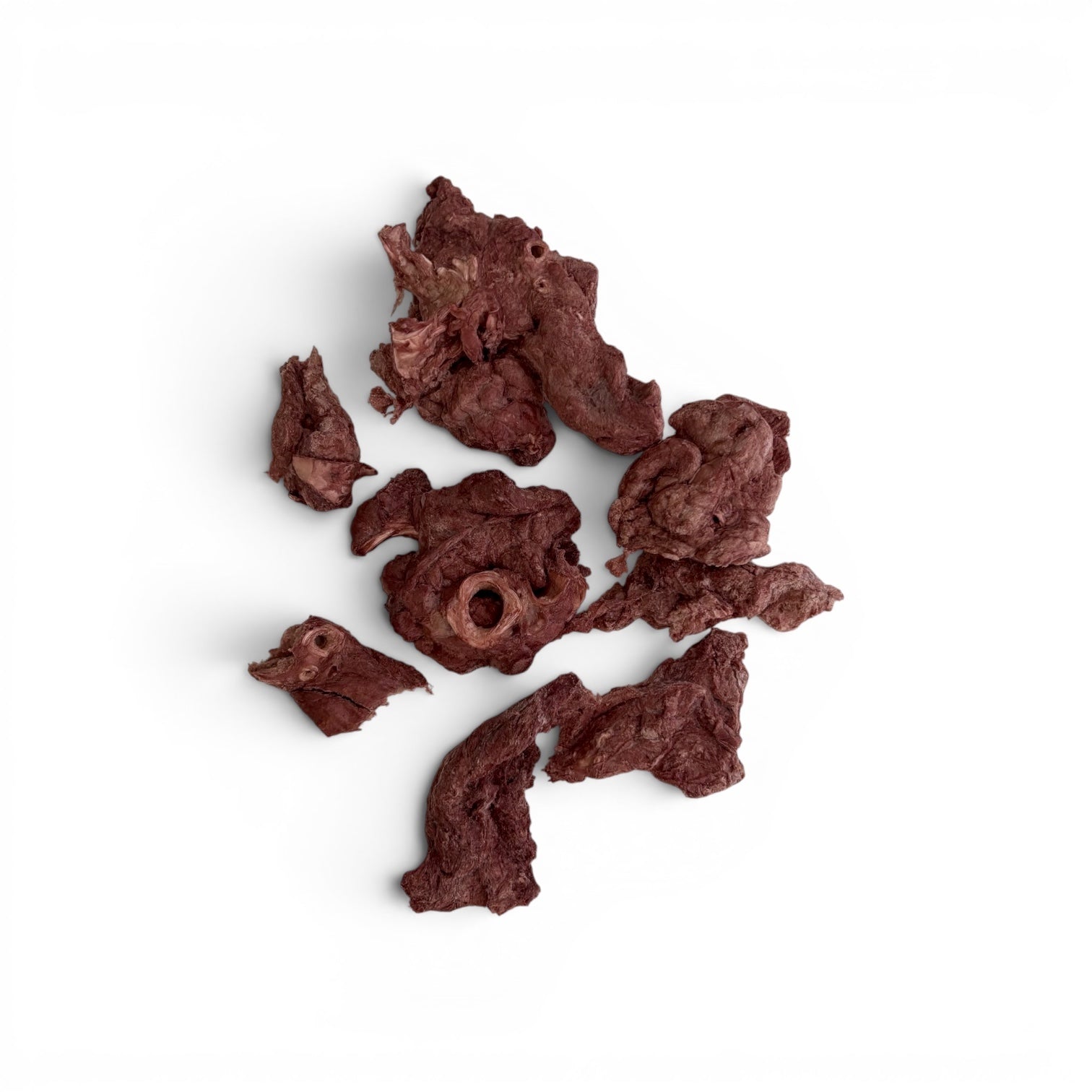 pieces of Freeze dried beef lung dog treats on white background