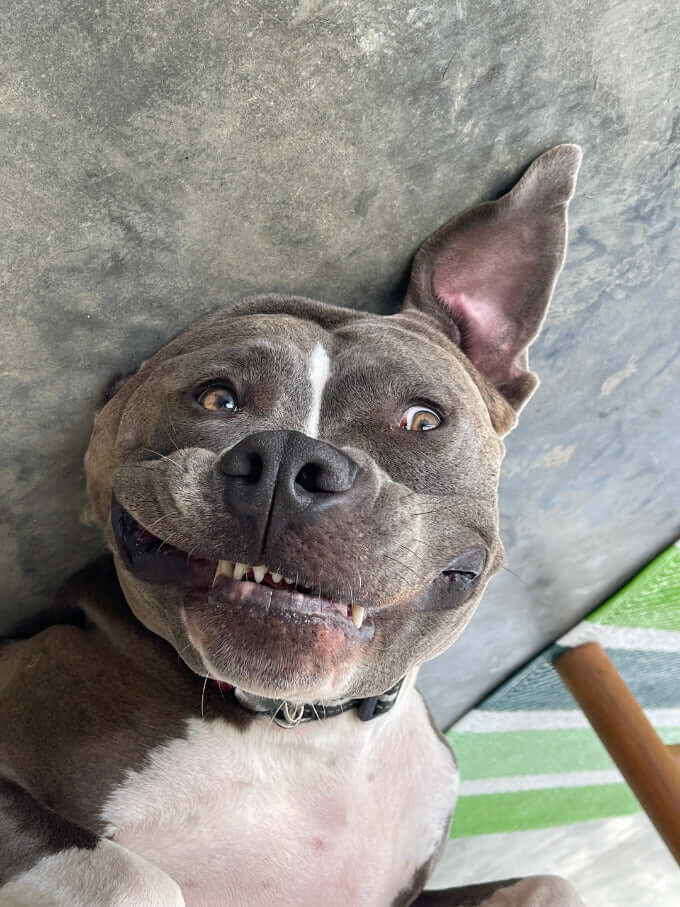 Kaia lying on her back, grinning up at the camera