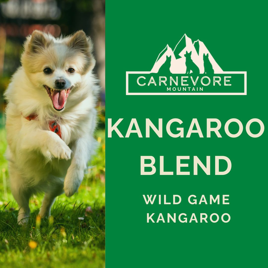 Dog running on grass next to Carnevore Mountain Kangaroo Blend packaging