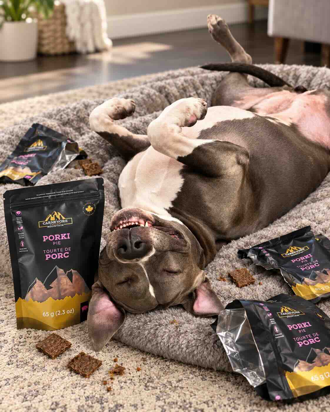 A pitbull-type dog lies on its back on a gray pet bed in a living room, surrounded by Mountain Dog brand Porki Jerky dog treats and several bags placed on the floor and bed.