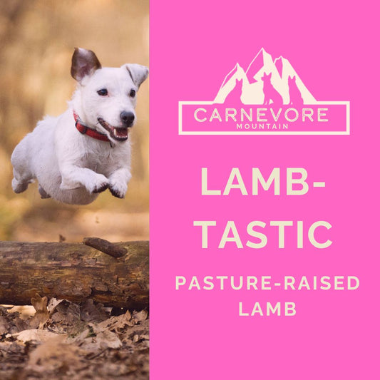 Image of a white dog jumping over a log on the left of the image  and the product name Lamb-Tastic, Pasture-Raised Lamb with a pink background.  The photo includes the Carnevore Mountain Logo.