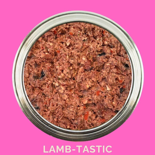 Raw lamb dog food in a stainless steel bowl, featuring the Lamb-Tastic recipe with rich, nutrient-dense ingredients.