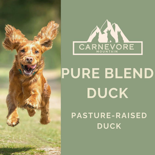 Dog running outdoors with Carnevore Mountain branding for pure blend duck product.