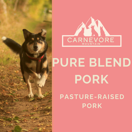 Dog running outdoors with Carnevore Mountain branding on a pink background