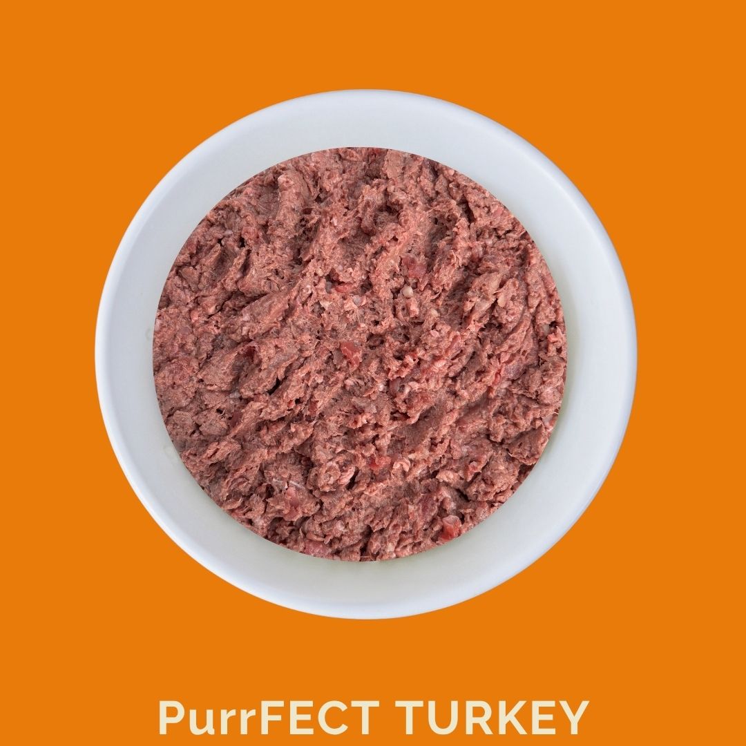 Raw ground turkey in a white bowl on an orange background with 'PurrFECT TURKEY' text.