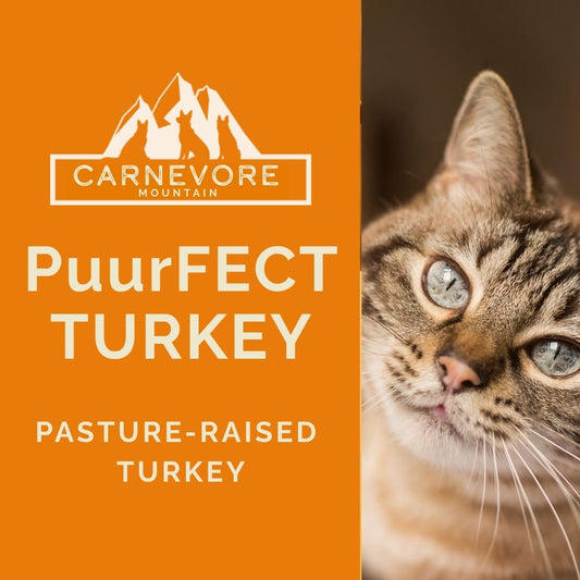 Cat next to Carnevore Mountain branding with 'PuurFECT TURKEY' text on an orange background