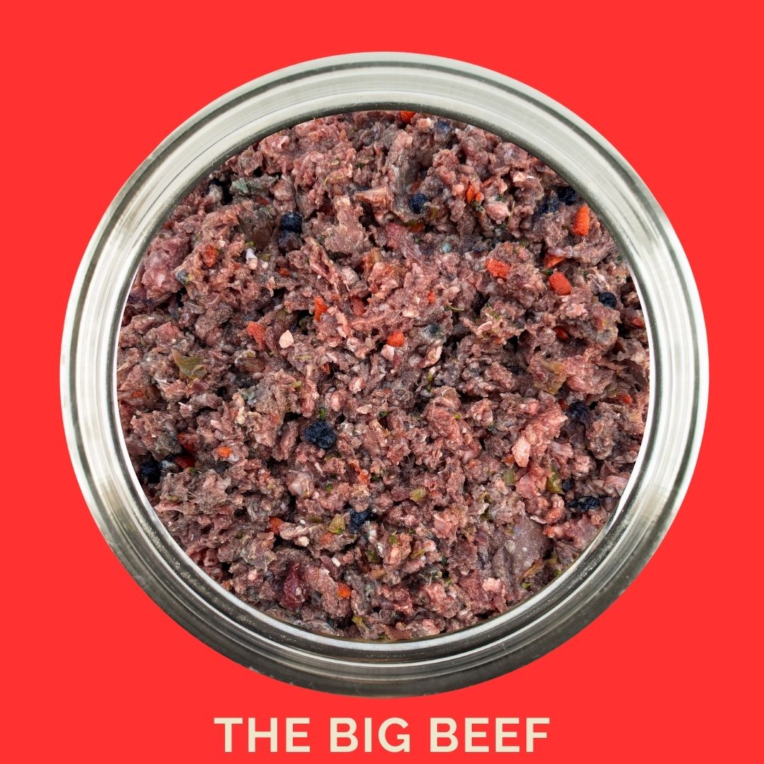 Dog food bowl with beef labeled 'THE BIG BEEF' on a red background