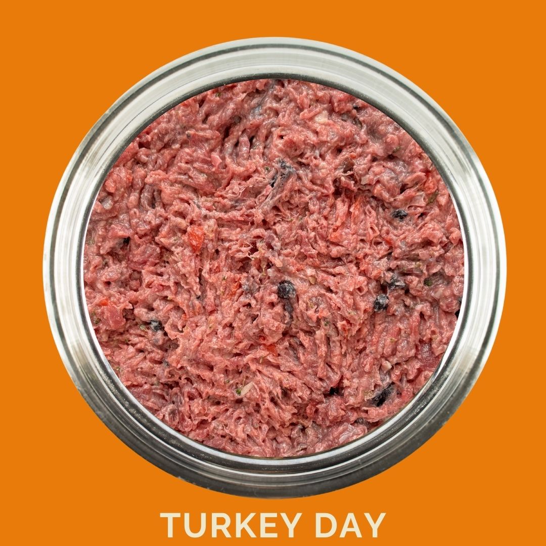 Dog food in a dog bowl of Turkey Day raw dog food from Carnevore Mountain with on an orange background