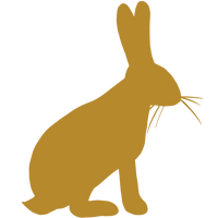 Avoid Common Allergens