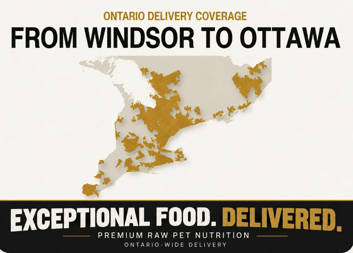 Map of Carnevore Mountain raw pet food delivery coverage across Ontario, from Windsor to Ottawa